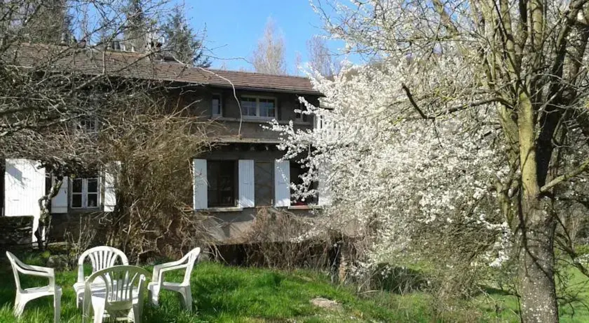 Les Cèdres Bleus