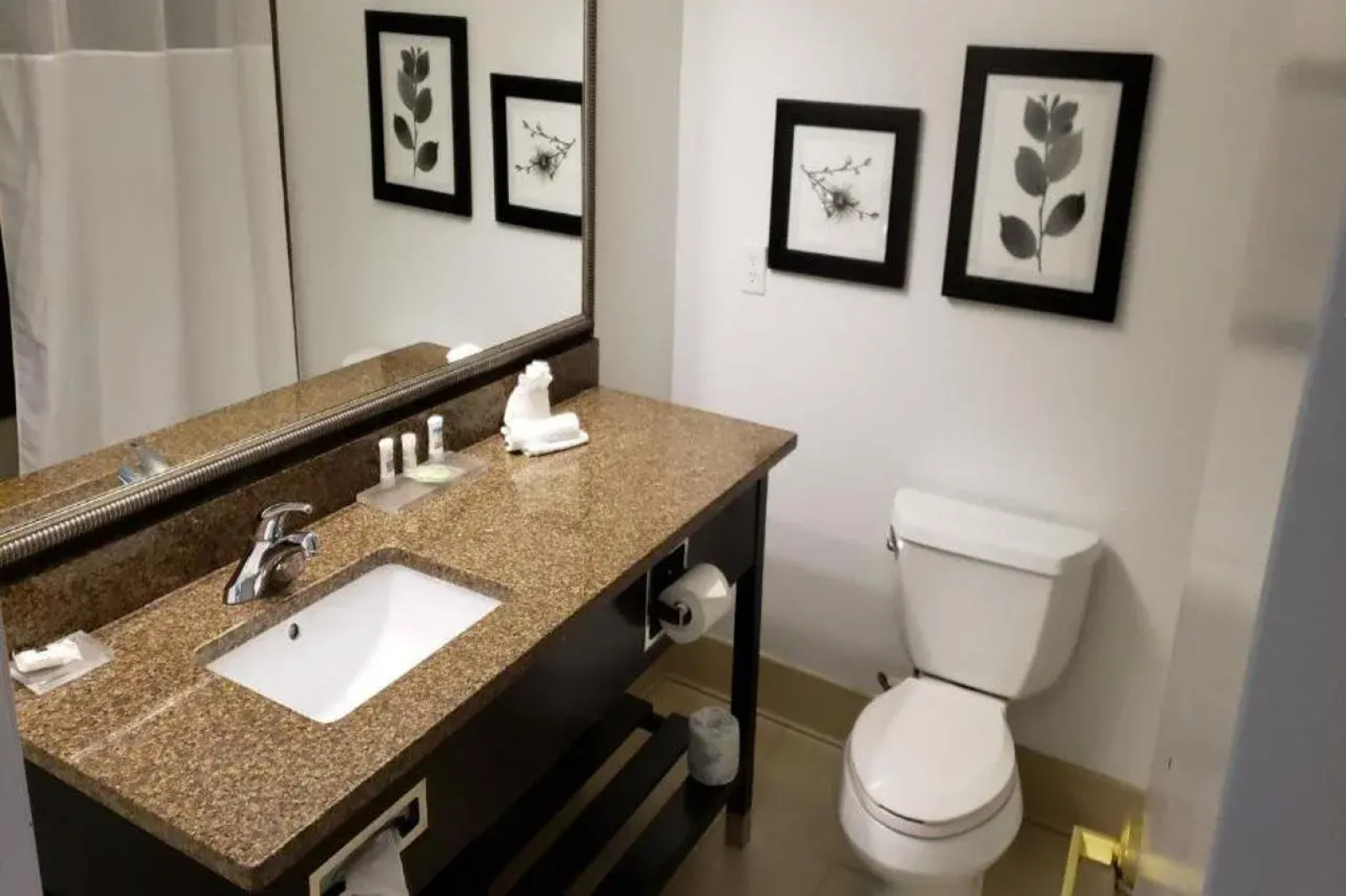 Country Inn & Suites by Radisson, Bradenton-Lakewood Ranch, FL