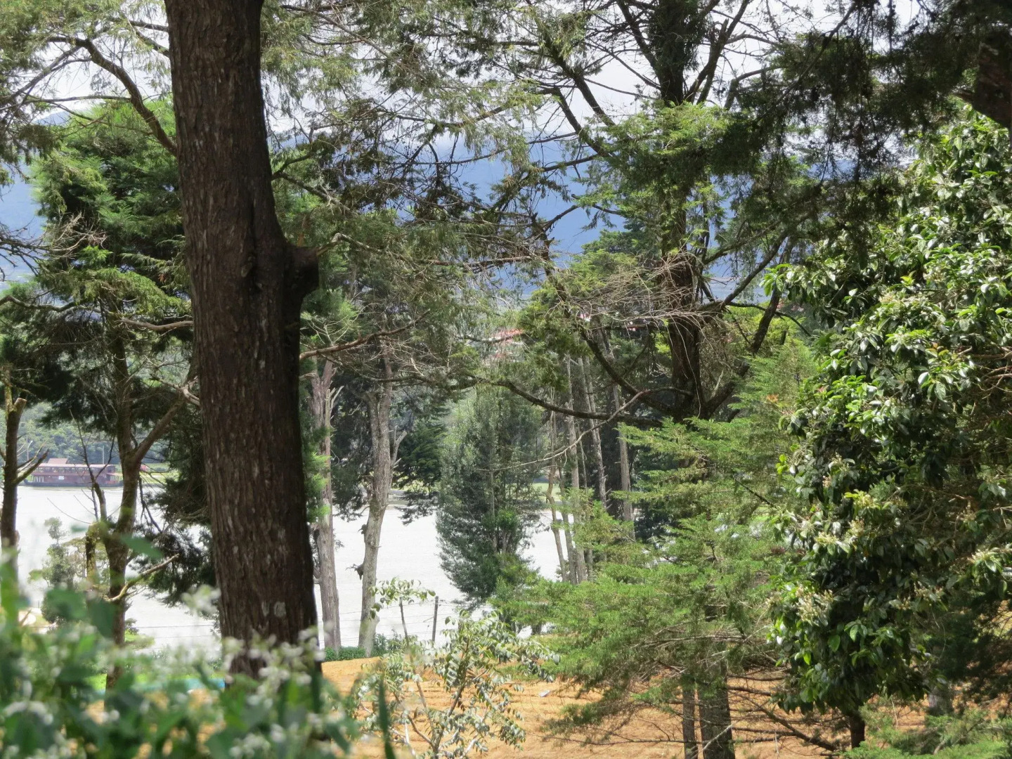 Mirage Kings Cottage