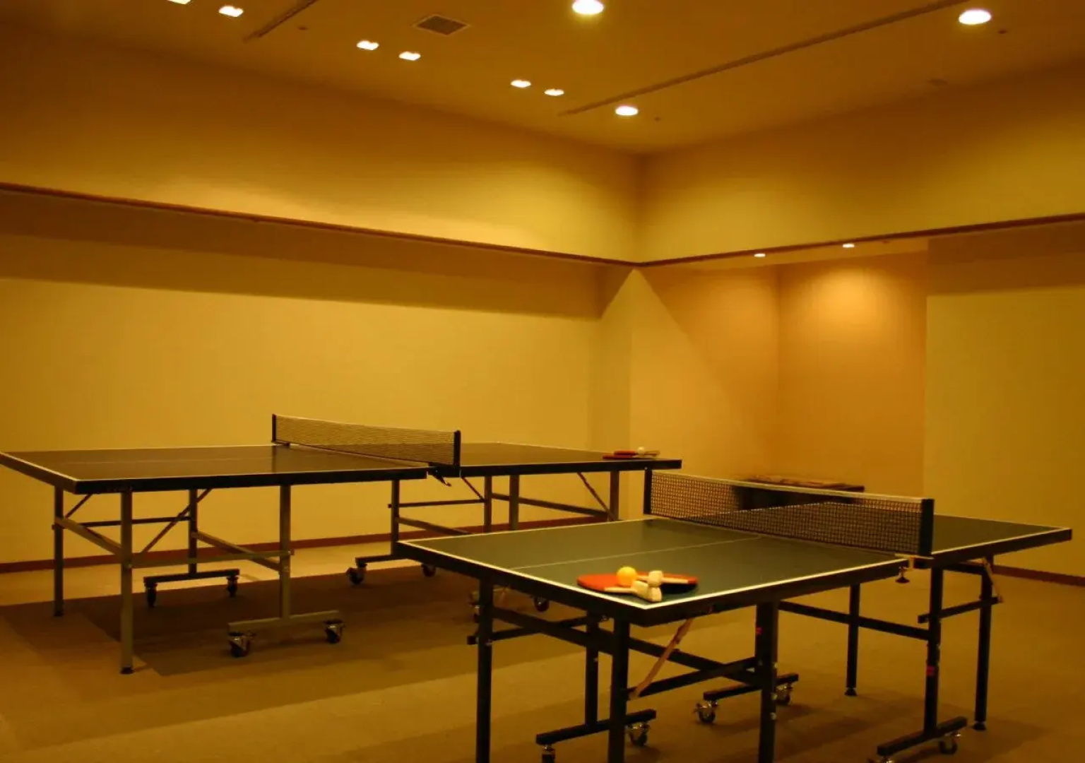 Hotel WELLSEASON Hamanako