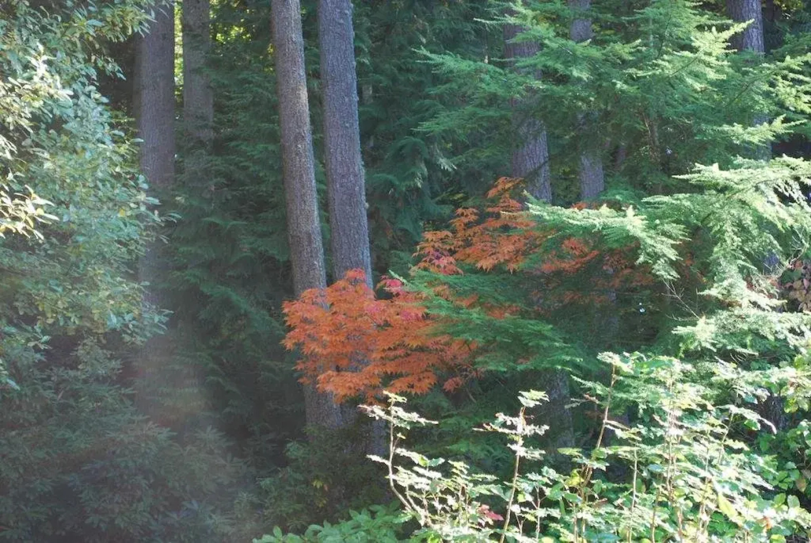 Meritage Meadows Inn