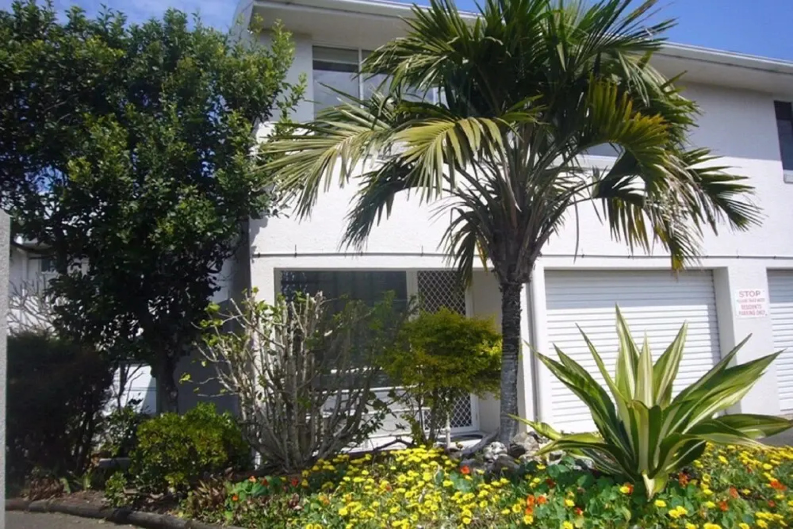 Boronia Headland - Sawtell, NSW