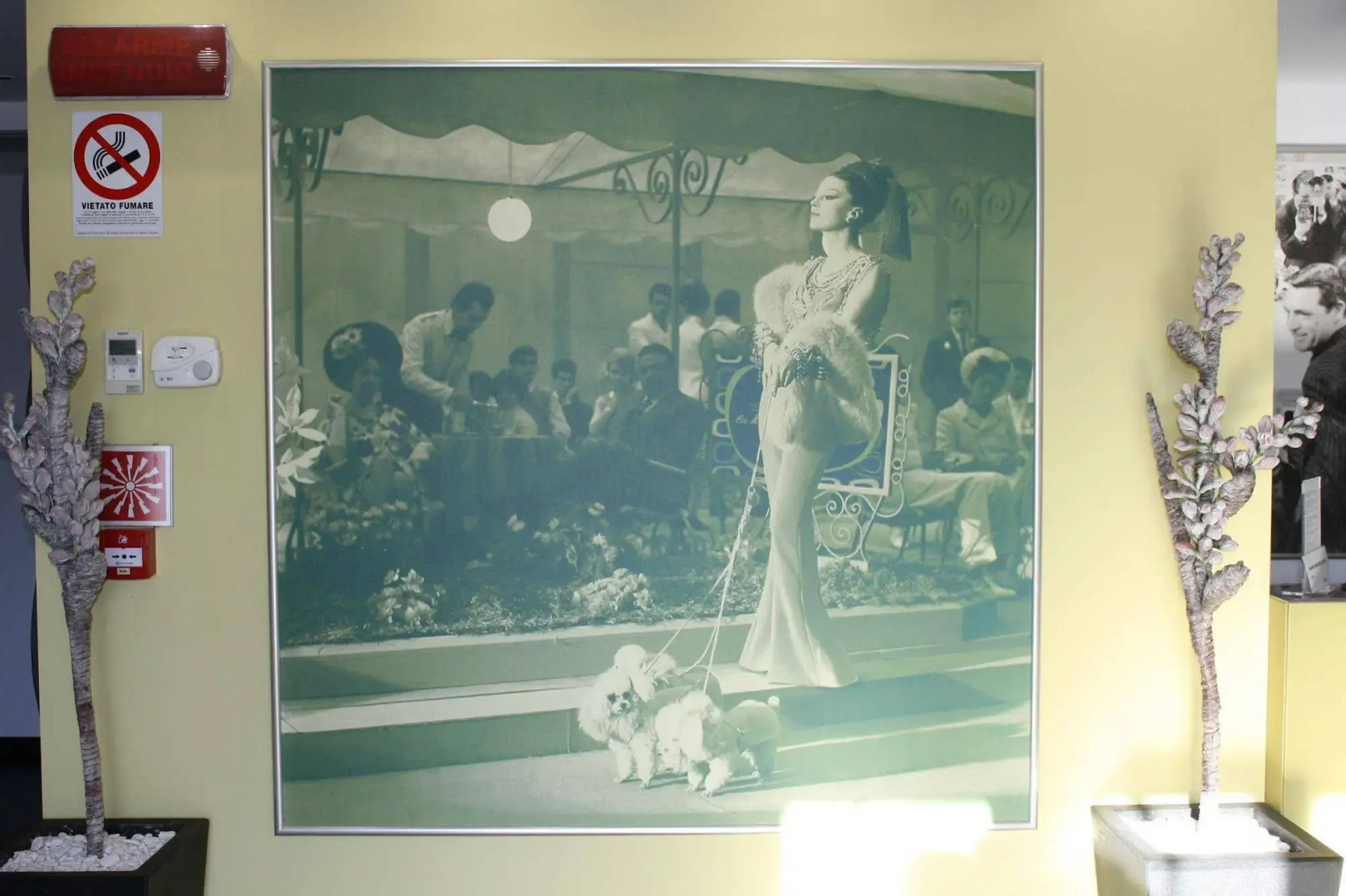 La Dolce Vita Hotel Motel