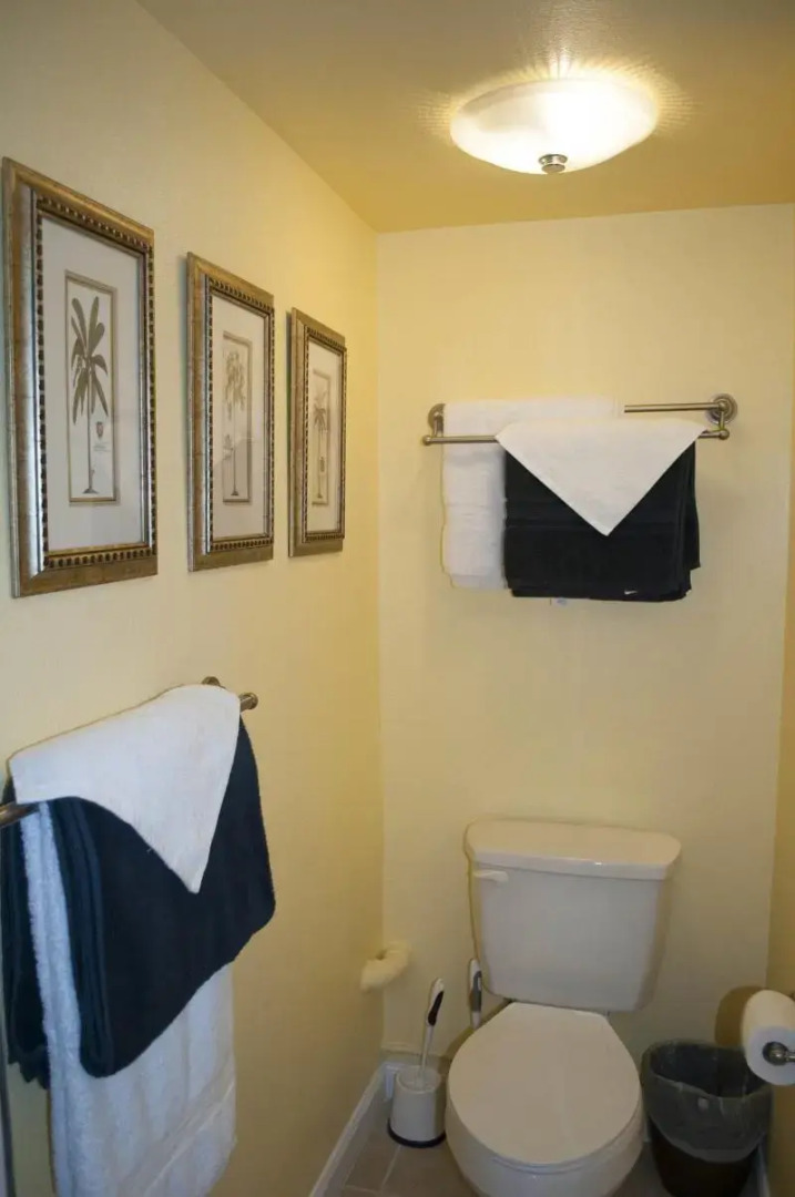 Vacation Condos In Kona