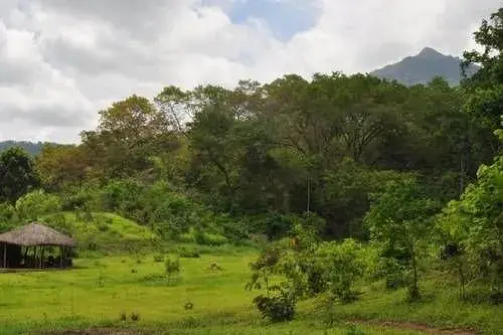 Udzungwa Forest Tented Camp