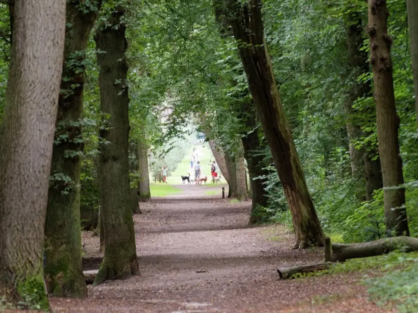 Luxurious Apartment Near the Pleasant Centre of Bergen