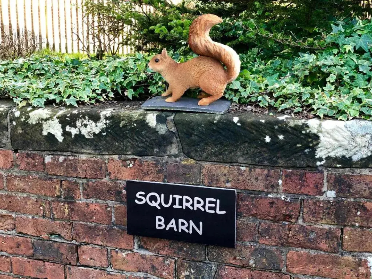 Squirrel Barn