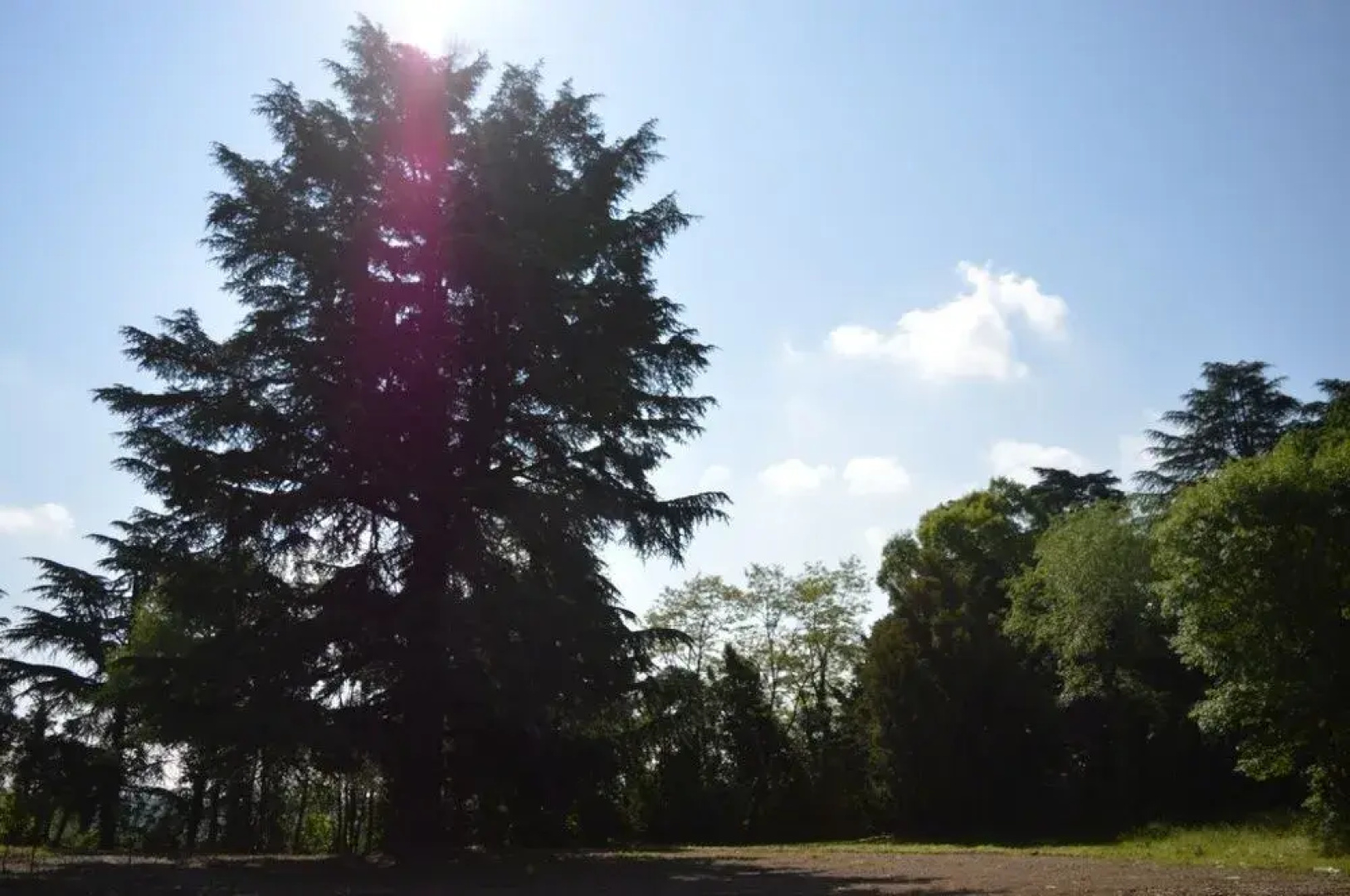 Residence Podere San Marco