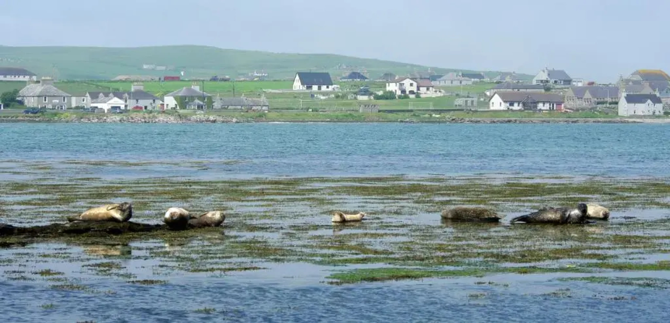 No 1 Broughton Bed & Breakfast