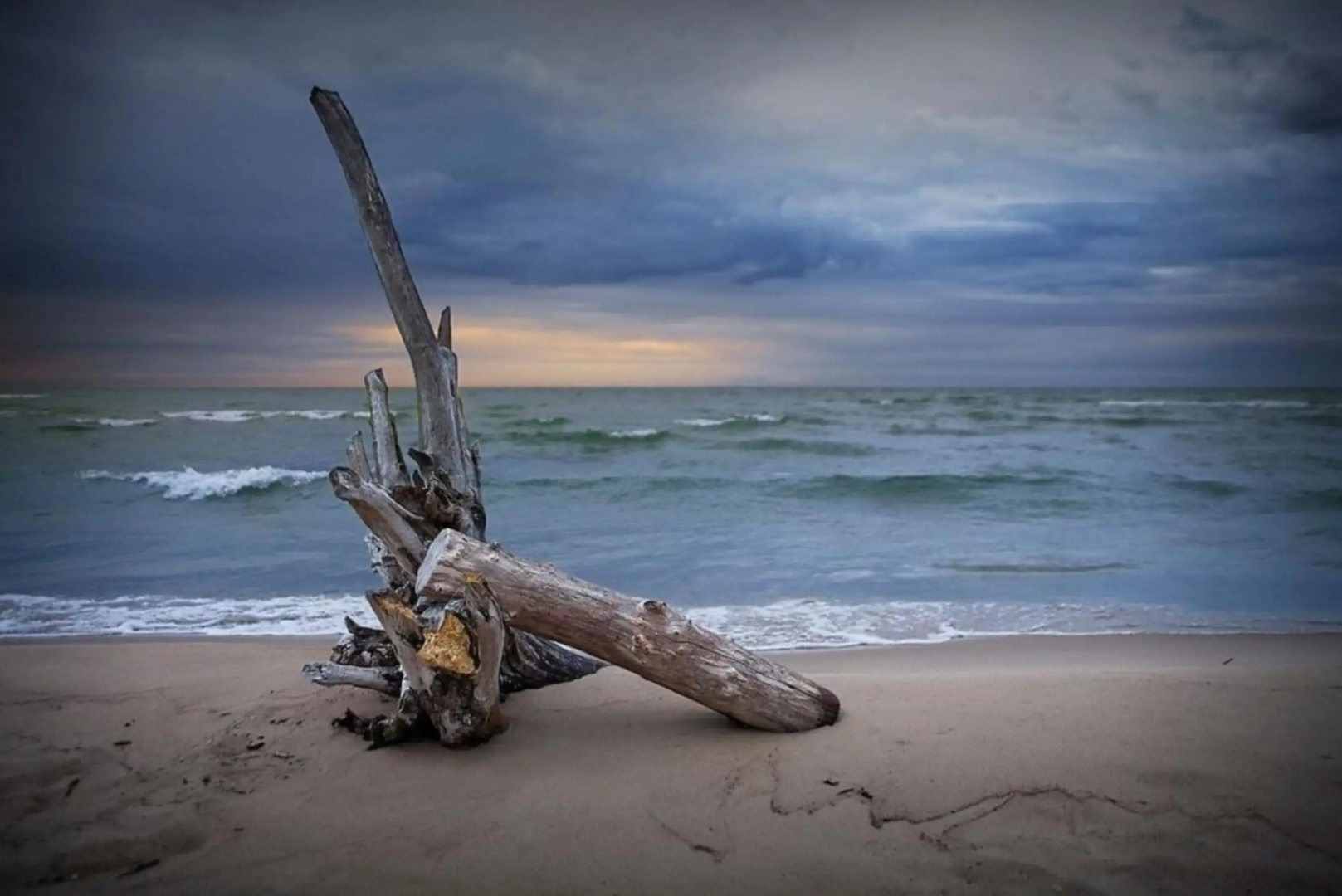 Lake Huron - 1 Bedroom, 1 Bath Lake Front Cabin (Sleeps 4)