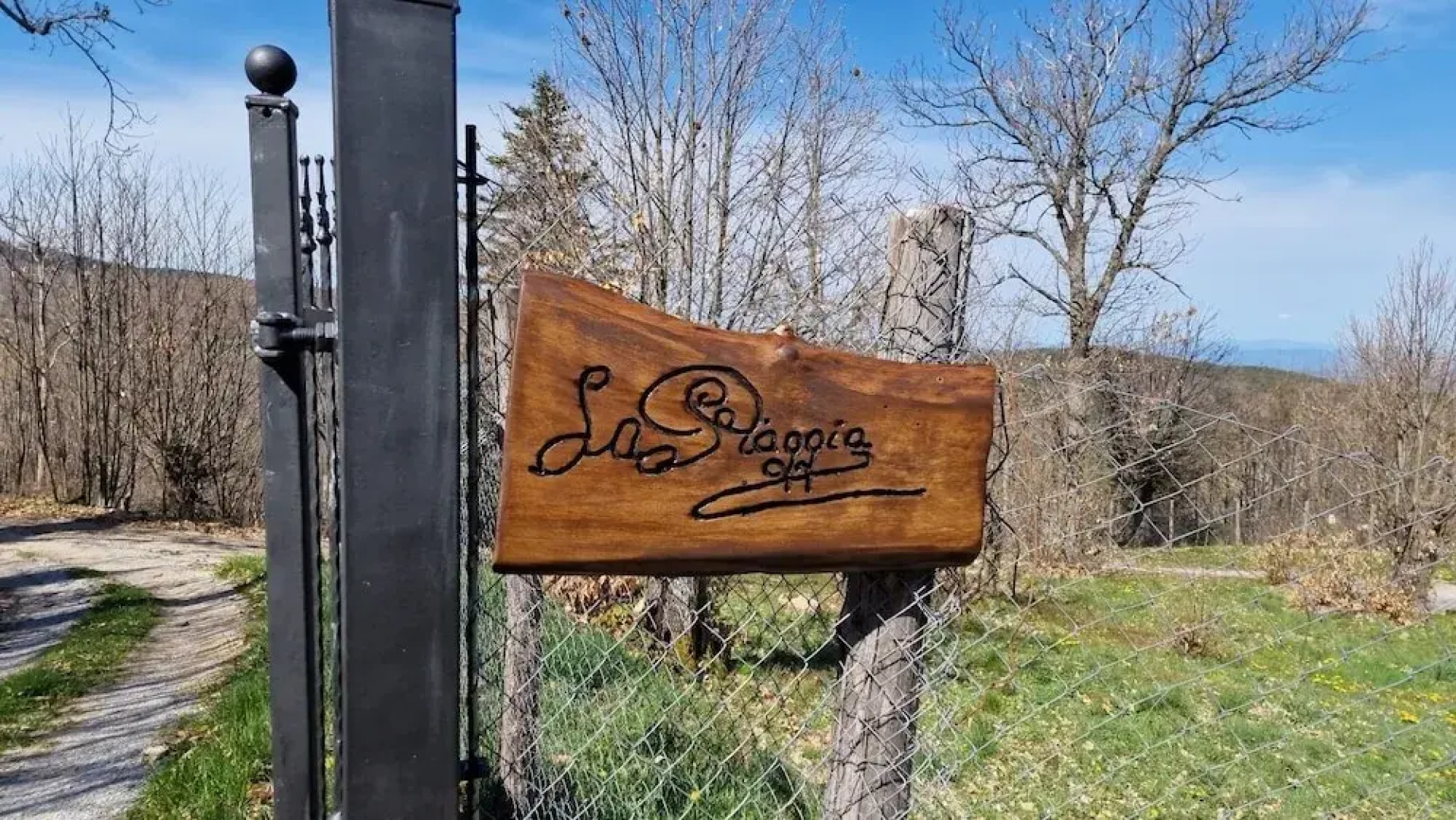 - Agriturismo La Piaggia - Forest View Apartment on the Ground Floor 2 Guests