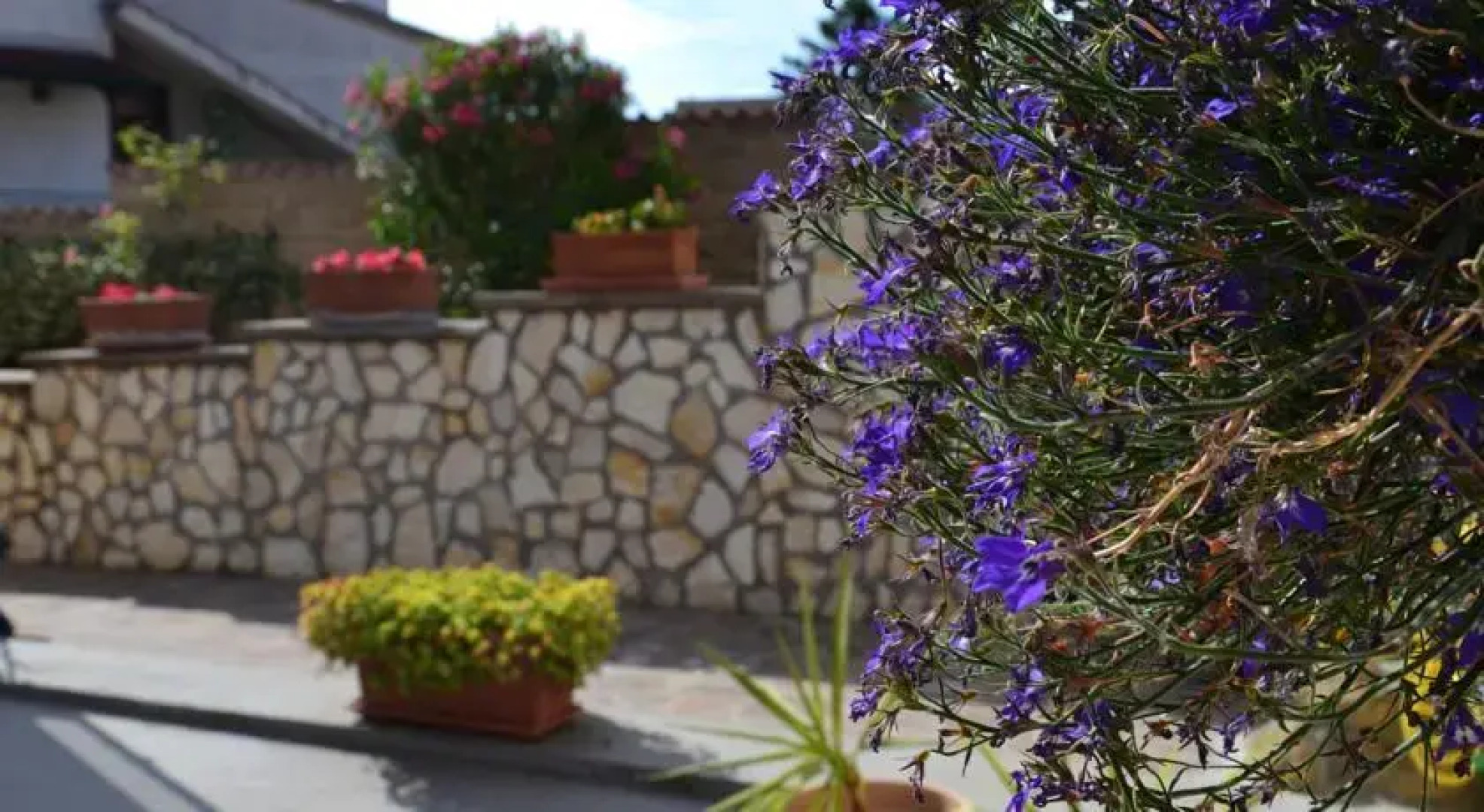 Bed and Breakfast Vecchia Flaminia