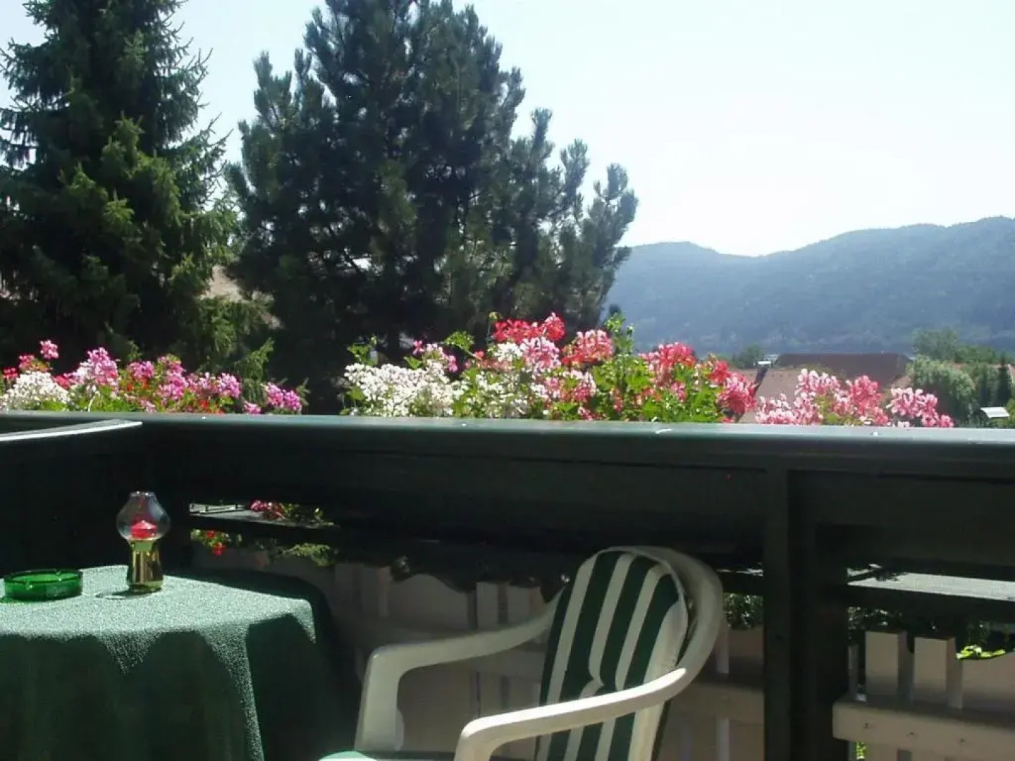 Pension & Apartments Ertl