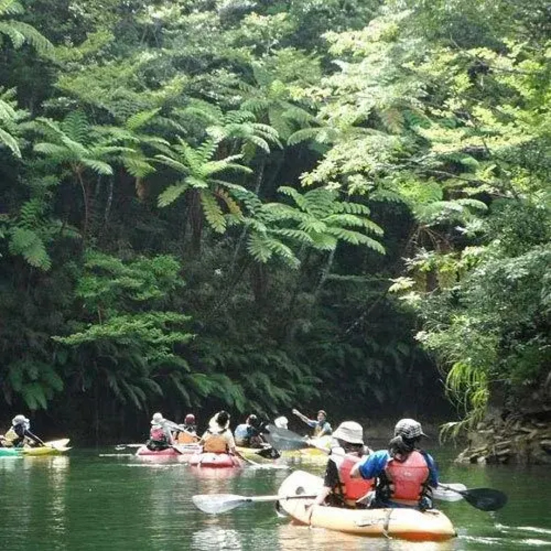 Yambaru Manabi No Mori Shukuhakuto