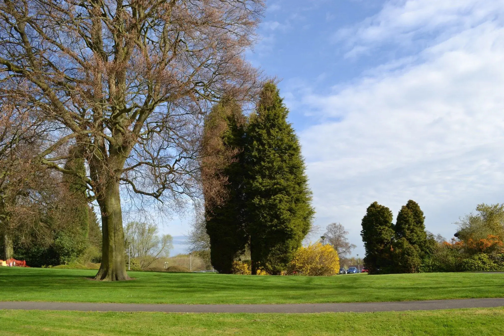 Telford University Rooms