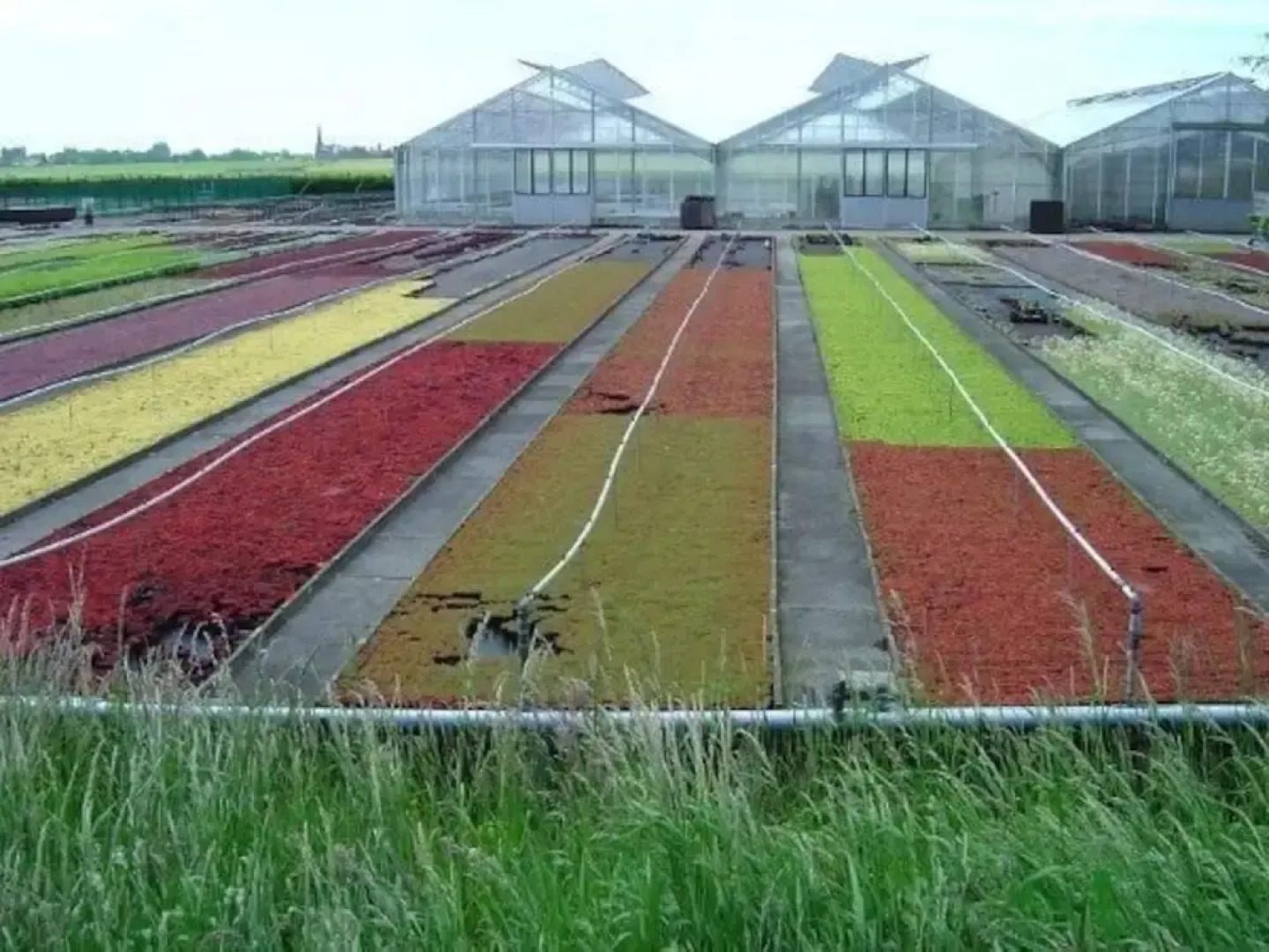 Hotel De Utrechtsche Dom