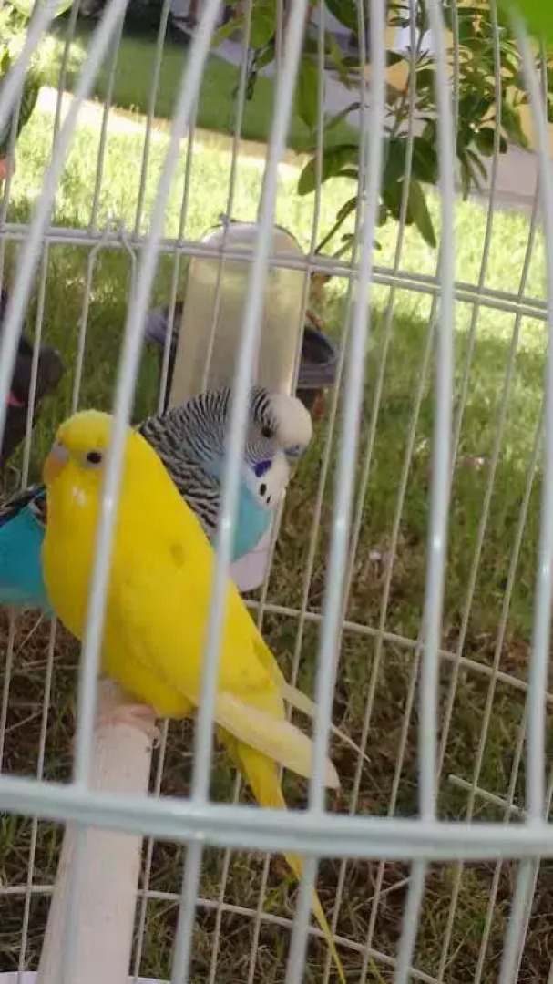 Pousada Ciclo Do Ouro