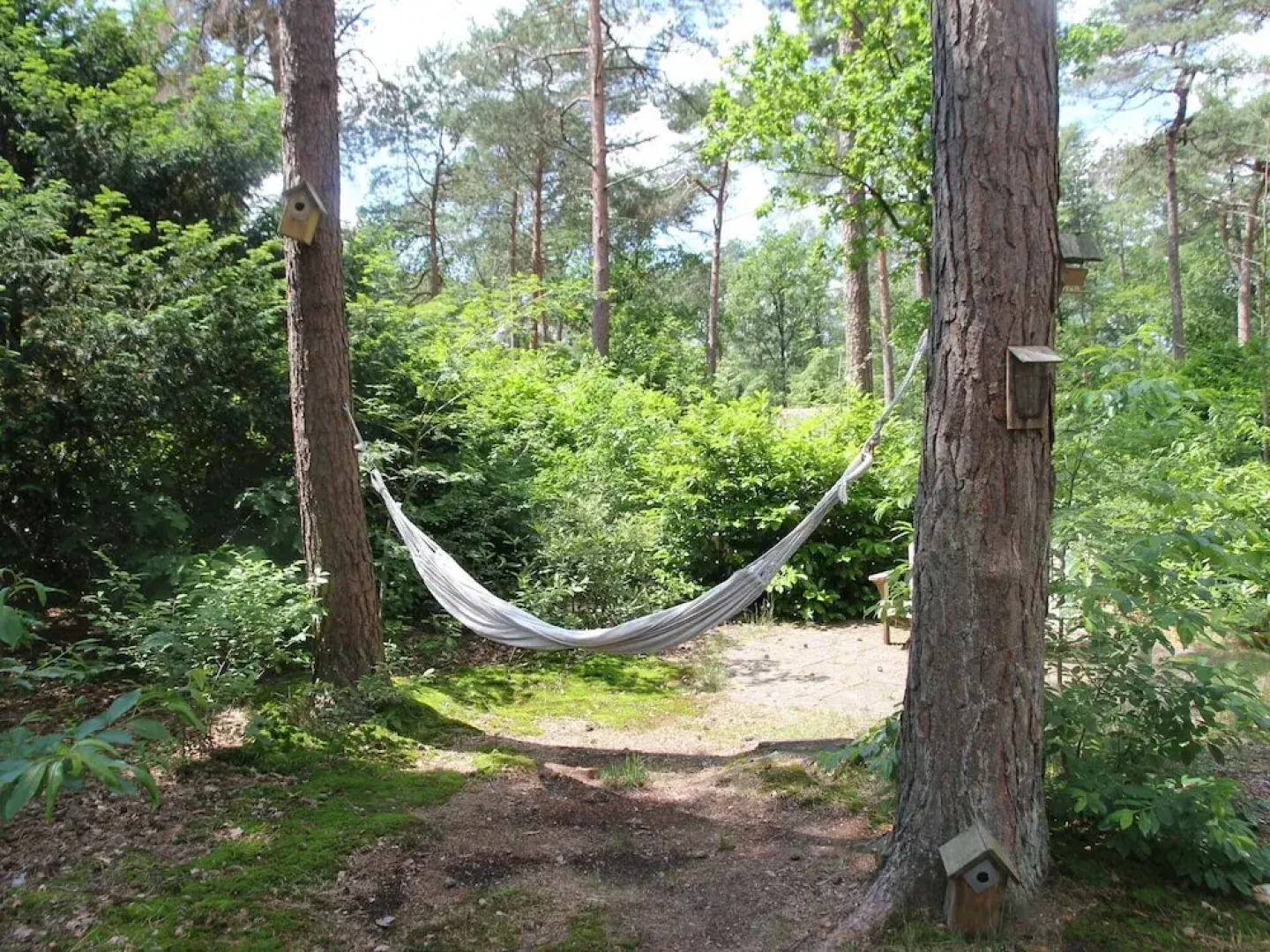 Quaint Cottage in Doorn With Pool, Garden & BBQ