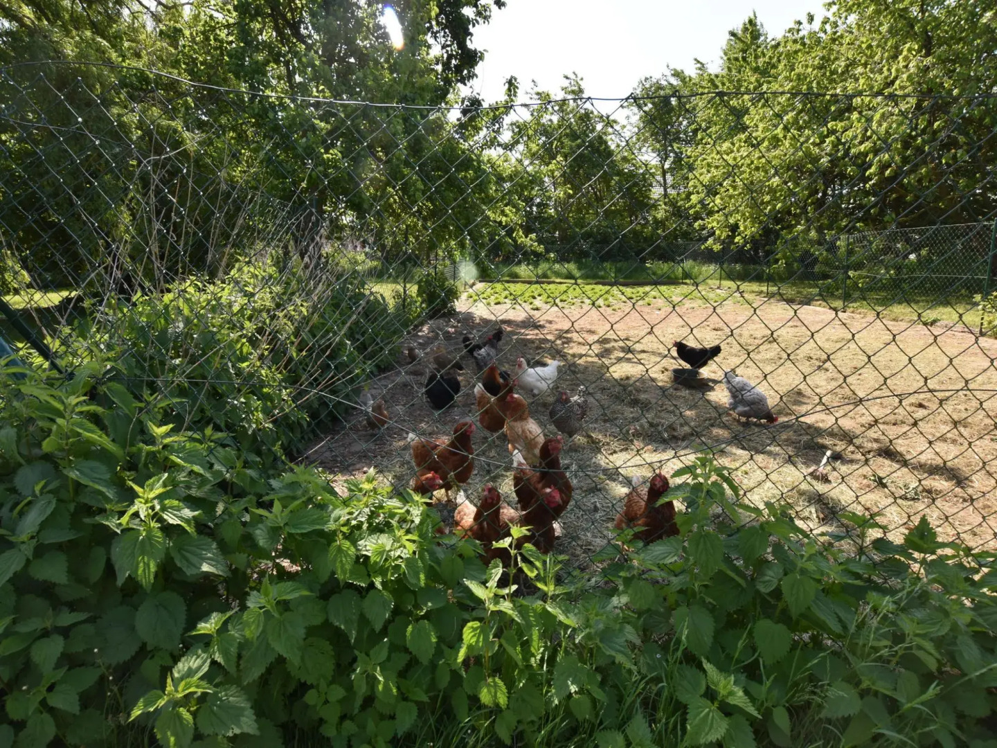 Ferienhaus vor den Toren der Insel Poel