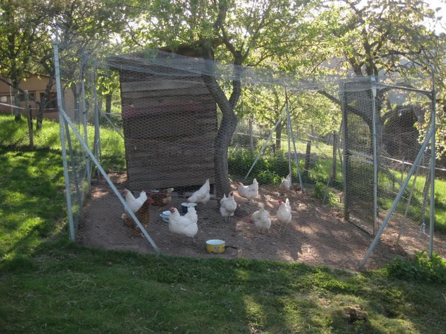 Aux coeurs de la vallée