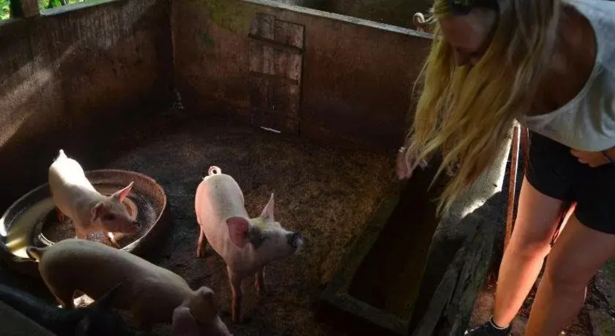 Beluran Serene Guesthouse