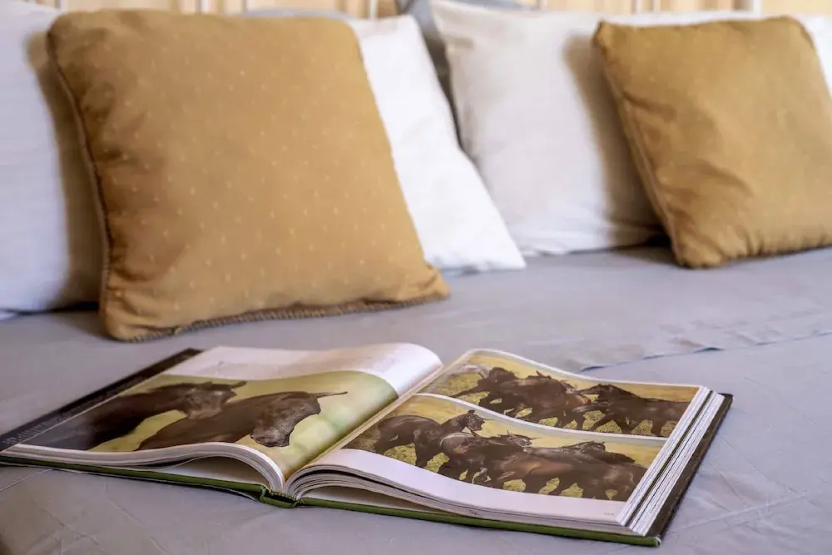 Heavens Door - Guest House