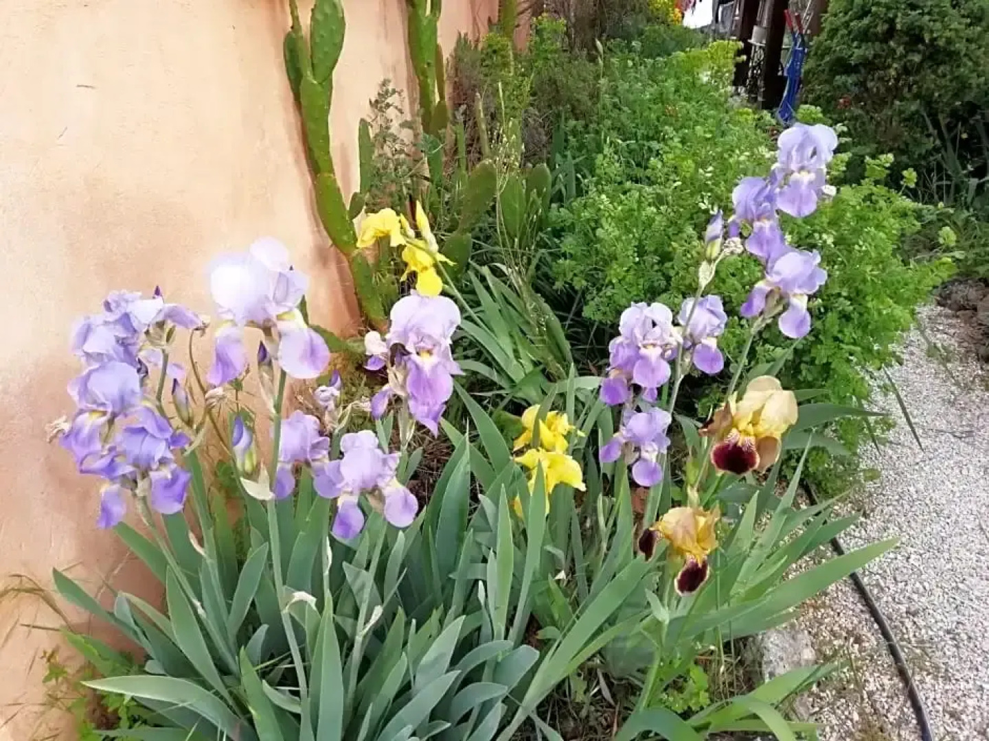 Chambre d'H¿te Le Mas des Romarins