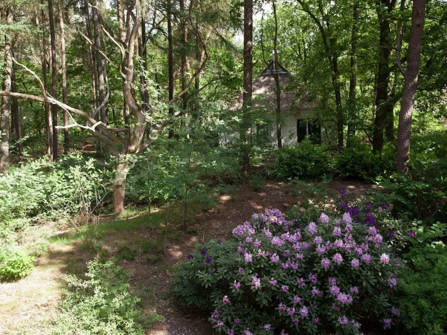 Cozy Villa With a Dishwasher, Near a National Park