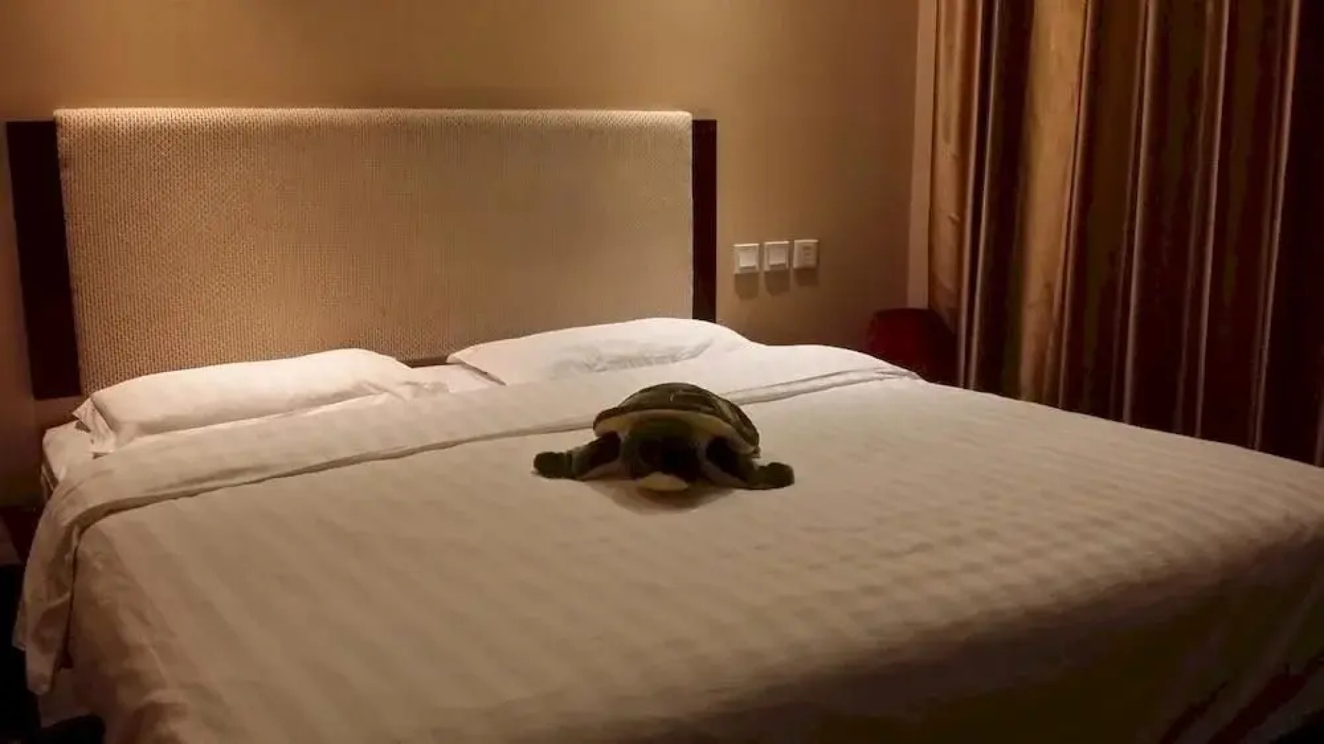 Shenyang Xiangyi Boutique Hotel