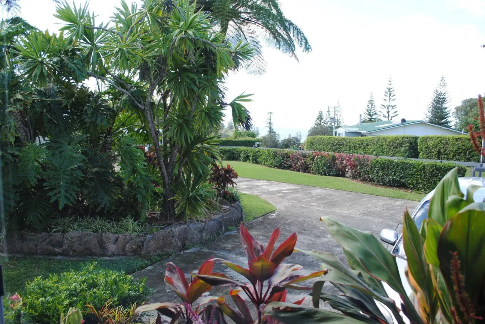 Hibiscus Regal Apartments