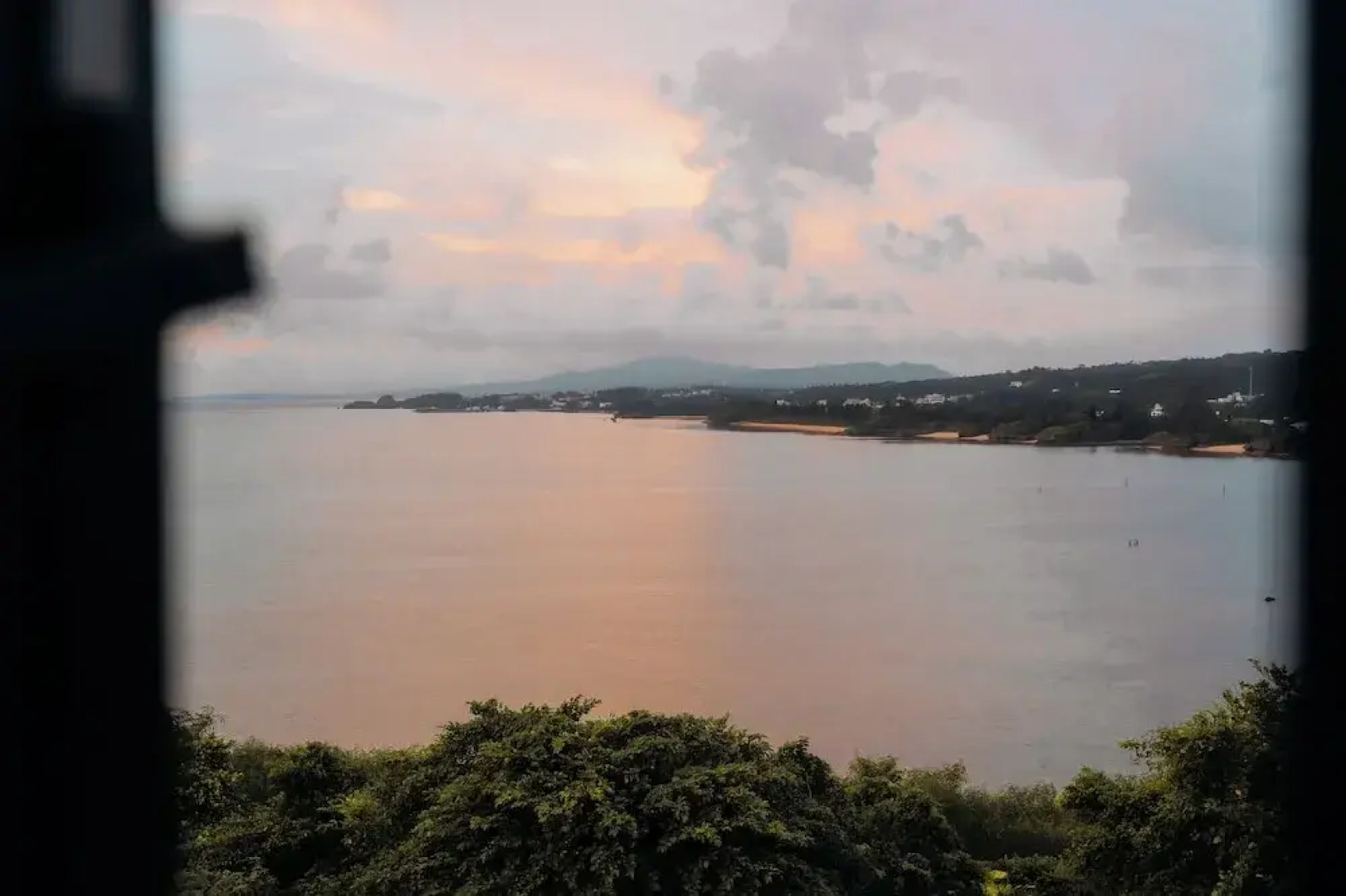 Blue Steak Wonder Senaha