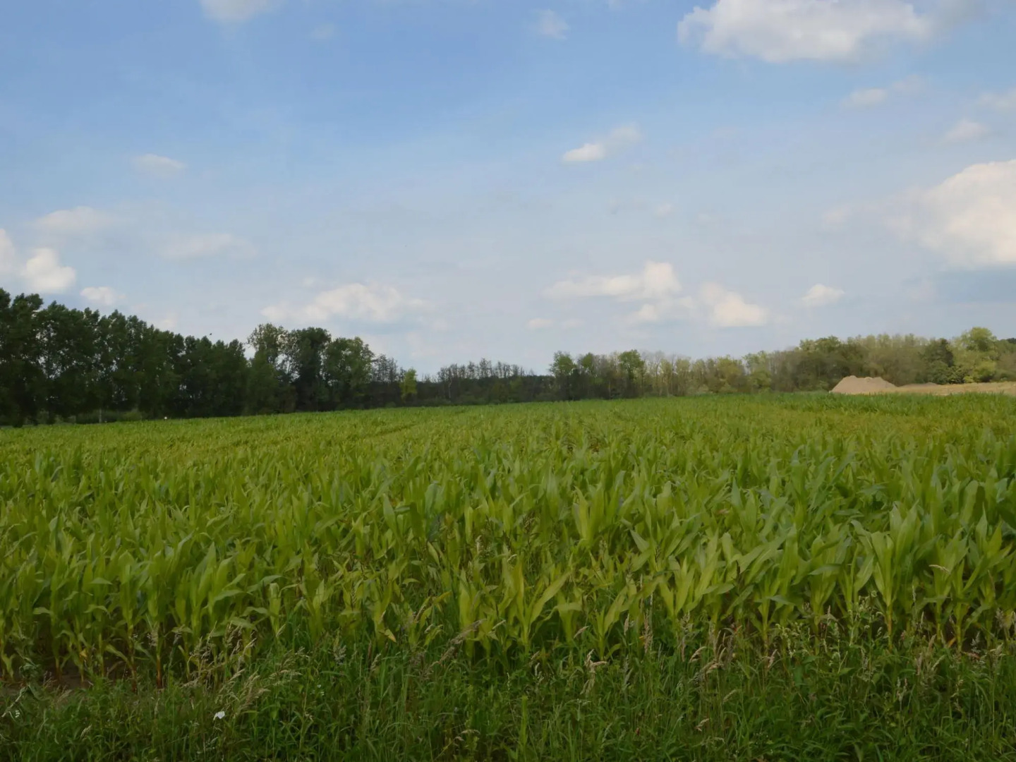 Swolgen Estate With Sauna