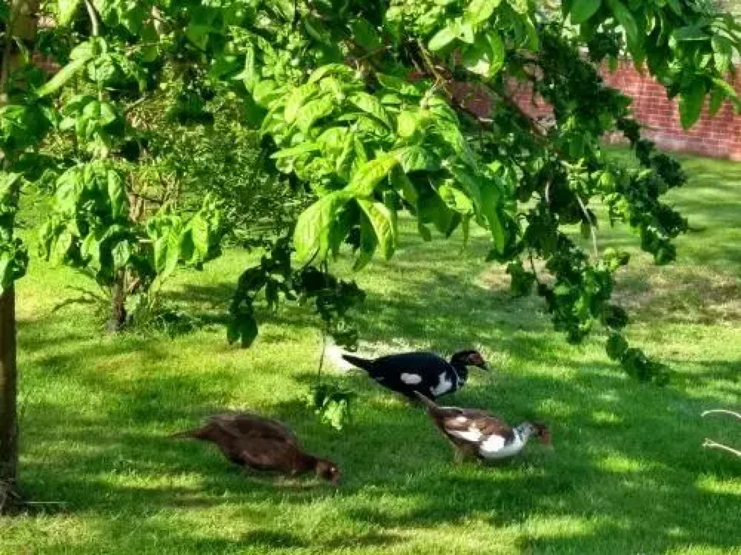 Blashford Manor Farmhouse - New Forest Cottage