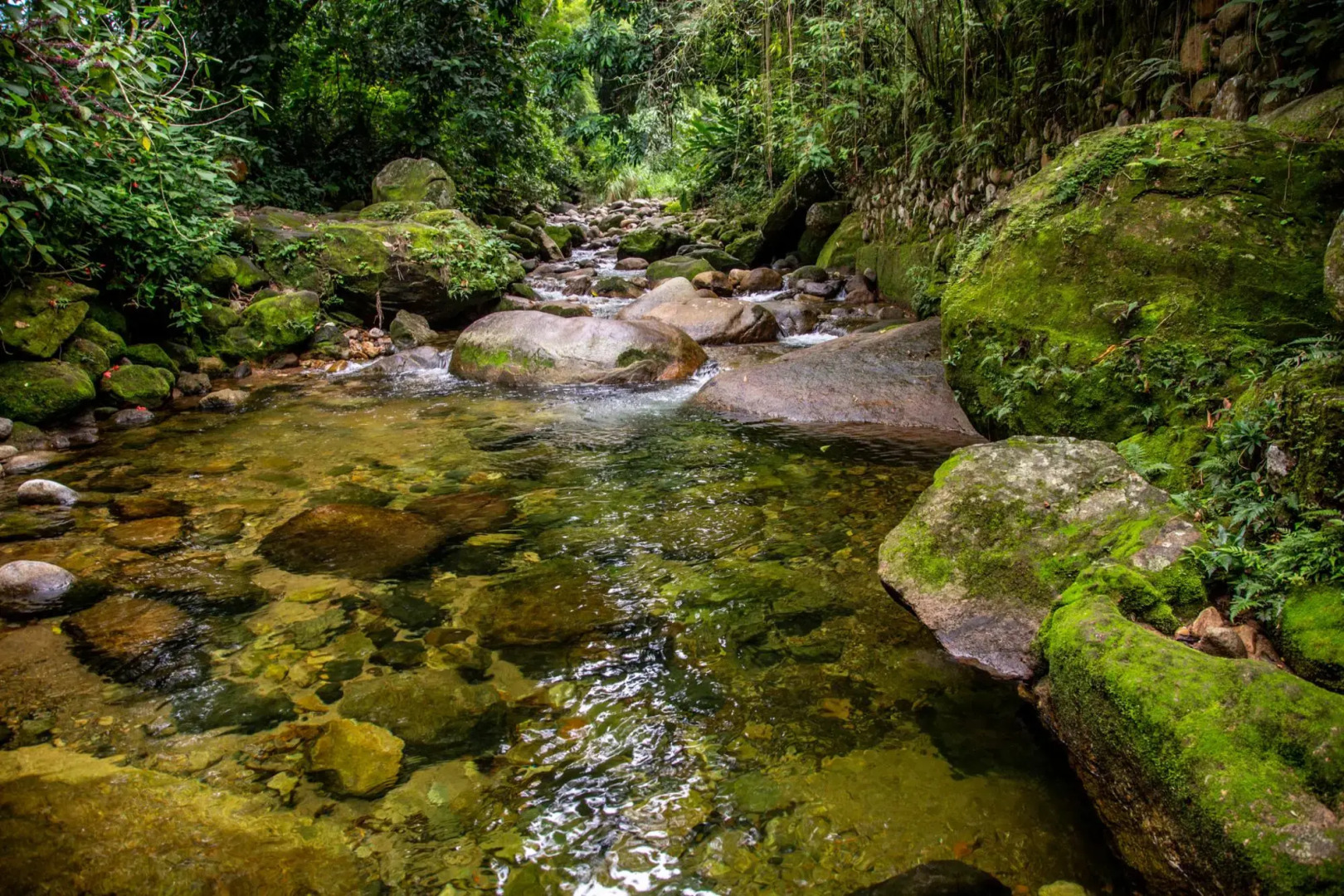 Aconchego | Cottage in the mountains ZX