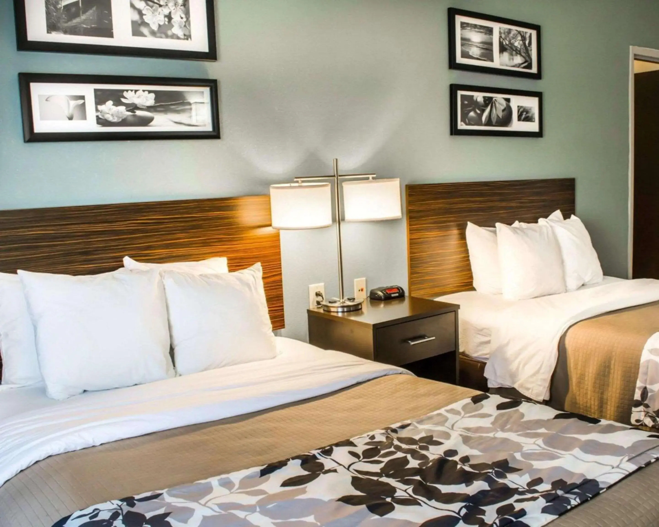 Sleep Inn & Suites Monticello