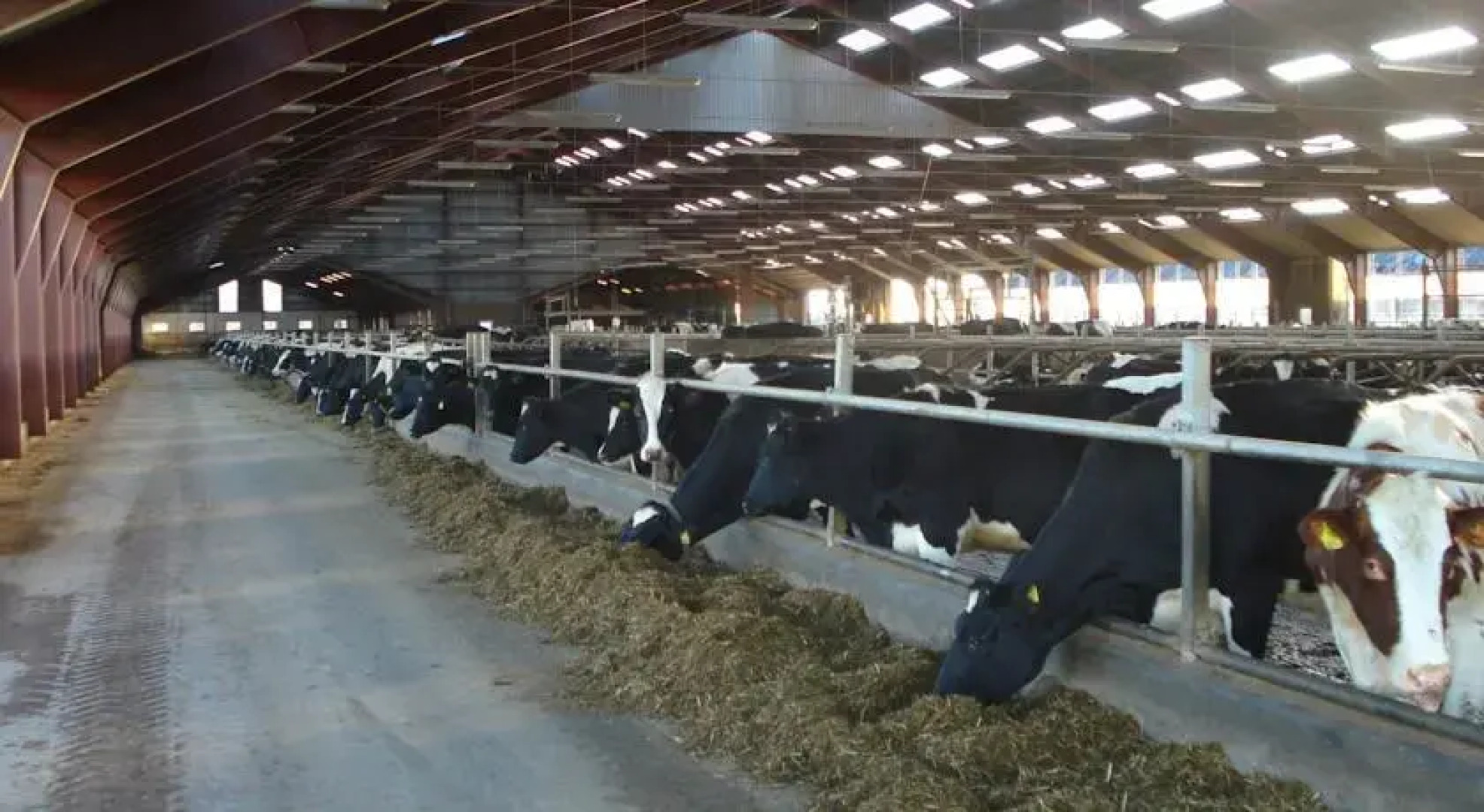 Kirstinesminde Holiday House