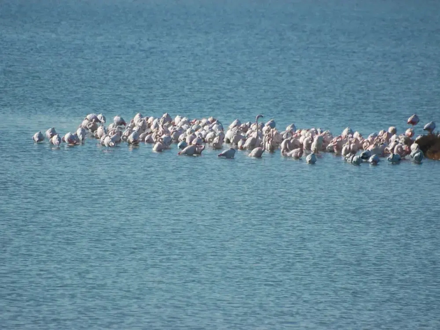 Belvilla by OYO Zante 2-7-12 Due