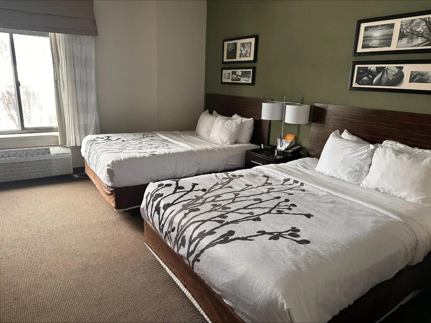 Sleep Inn & Suites Queensbury - Lake George