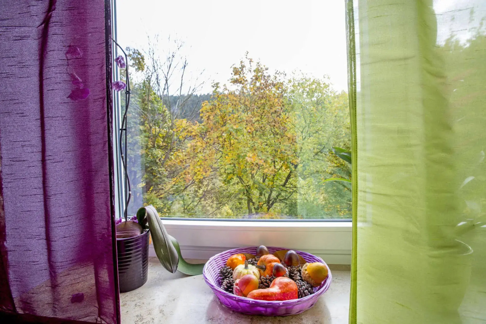 Holiday Home in Willingen Near Ski Area