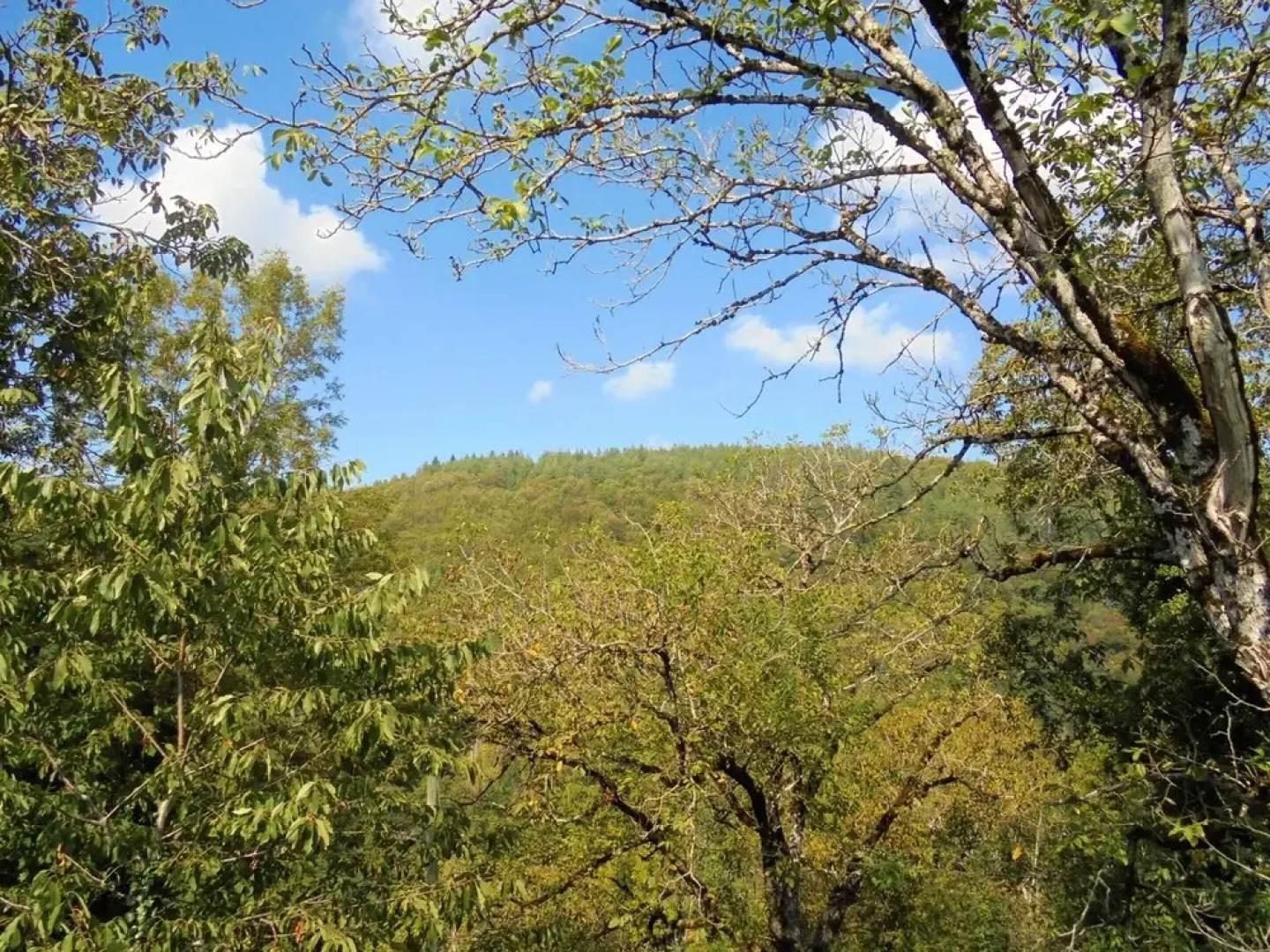 House With 4 Bedrooms in Castelnau-de-mandailles, With Wonderful Mount