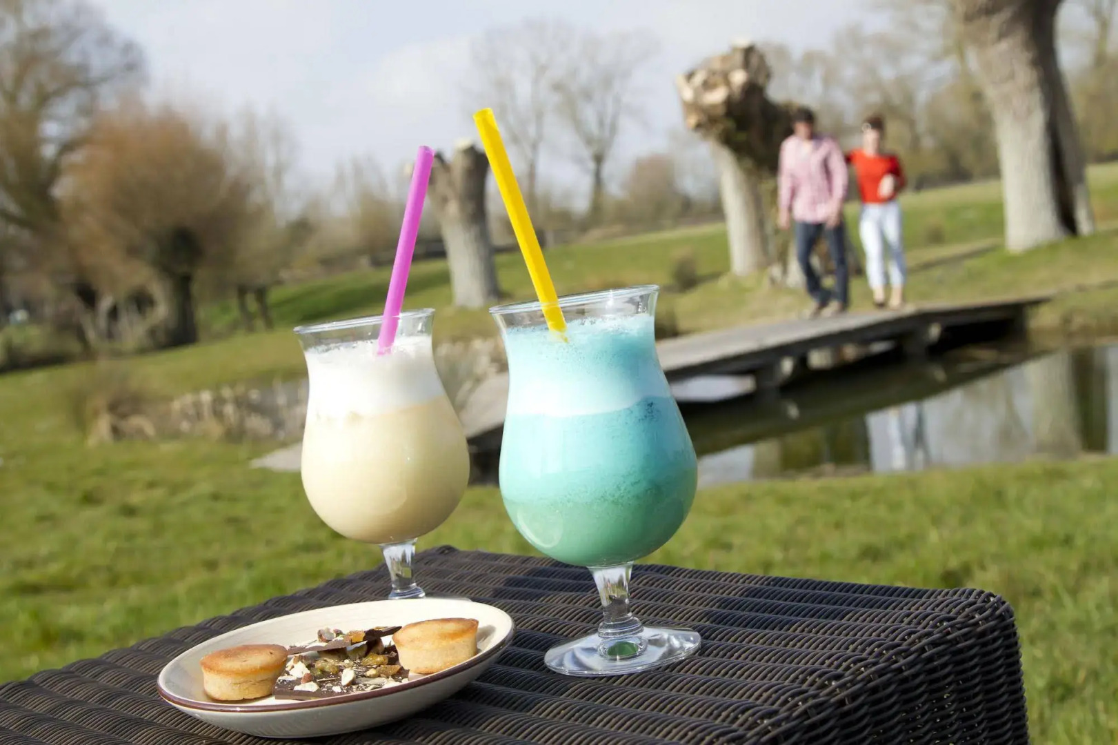 Hôtel Spa & Restaurant Les Saules