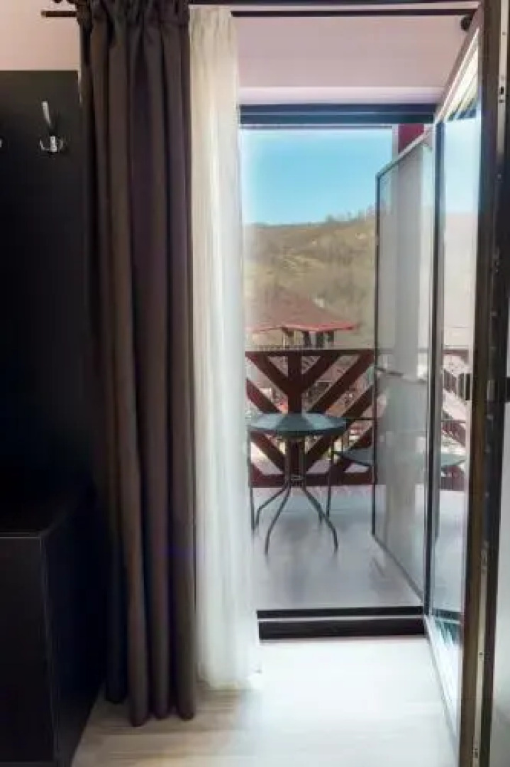 Pridvorul Haiducilor