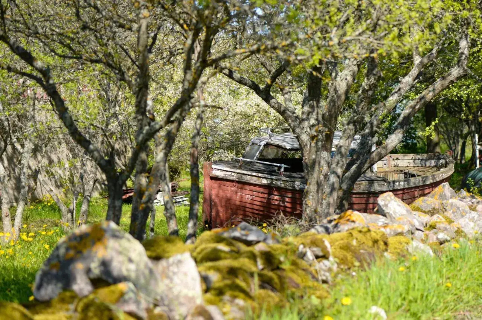 Luscher & Matiesen Muhu Winehouse