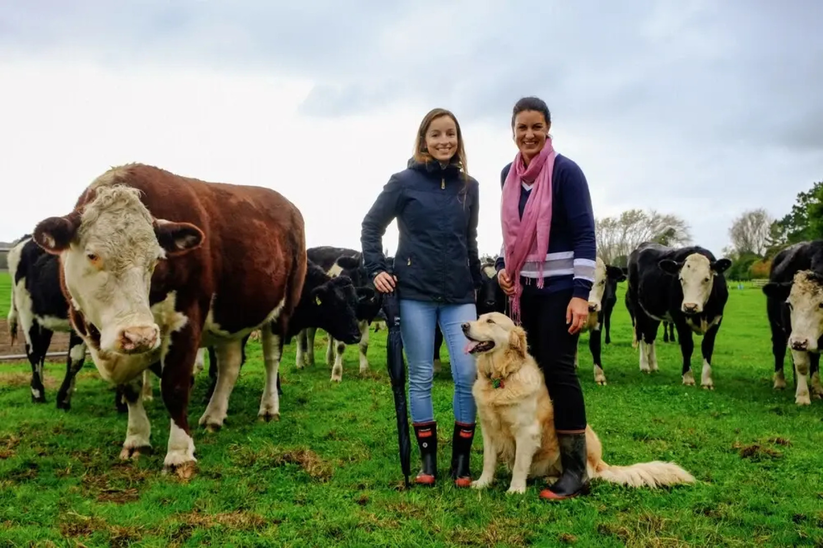 Lakeview Lodge Karapiro