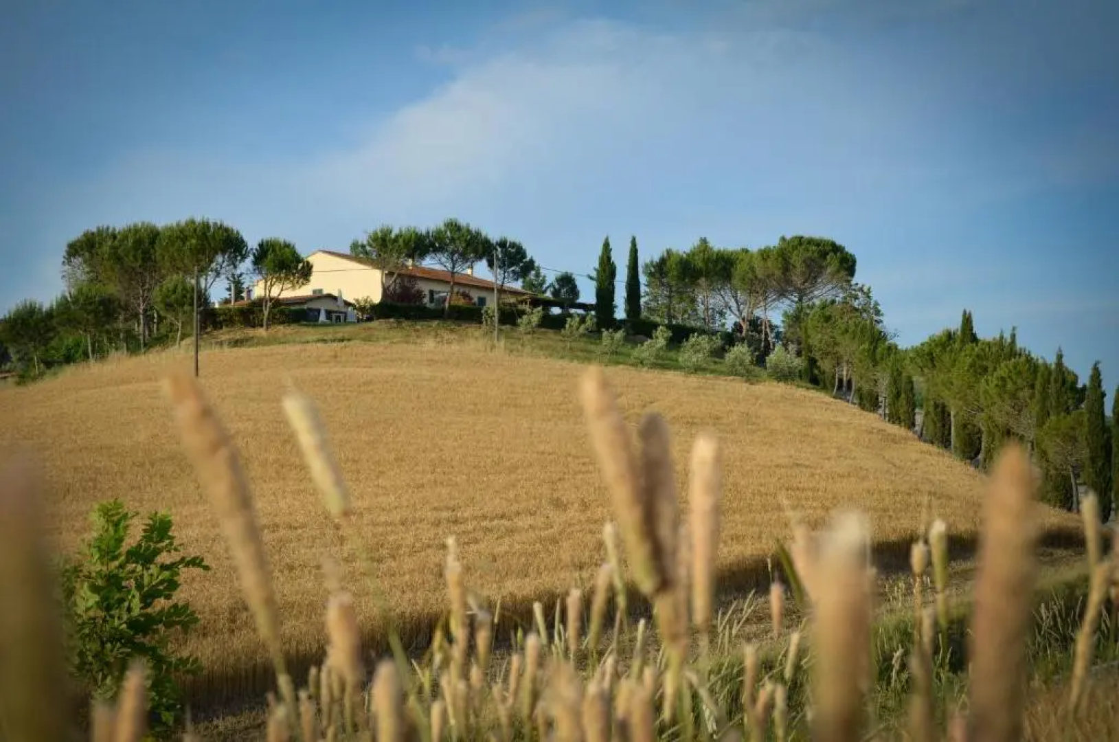 Agriturismo Il Catrino