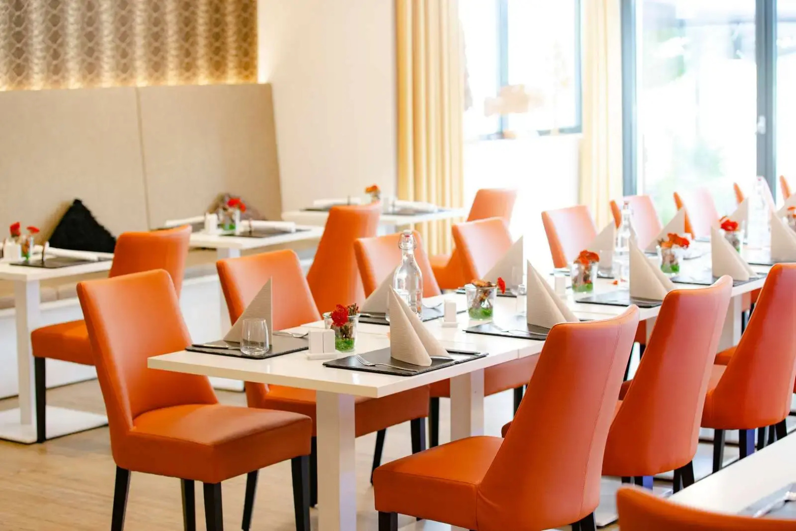 Friendly City Hotel Oktopus