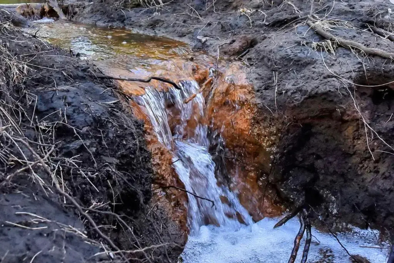Wongaburra Homestead
