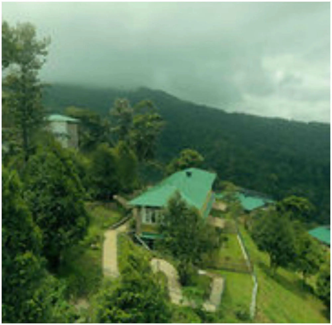 Spicetree Munnar
