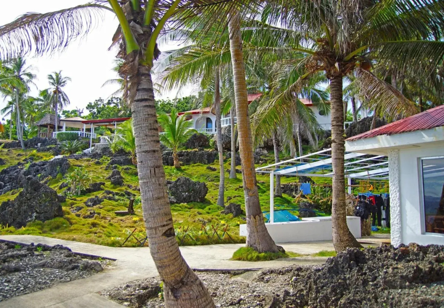 Blue Star Dive & Resort