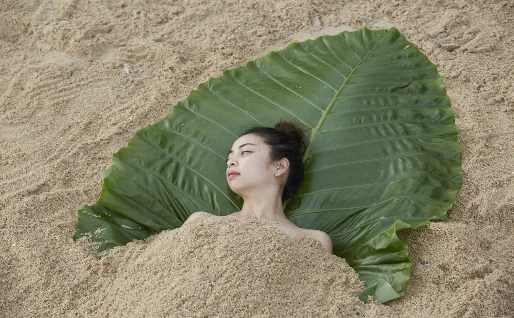 Natural Wing Health Spa and Resort